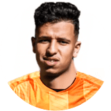 عماد الرياحي