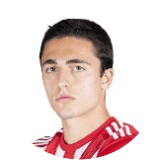 Nikoloz Tskhovrebashvili