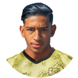 محمد أمين عاكف