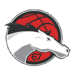Leicester Riders