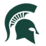 Michigan State