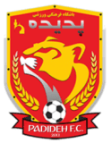 شاهر خودرو