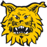 Ilves 2