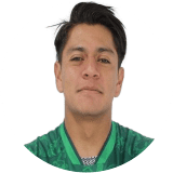 Carlos Siqueiros