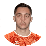 Razvan Gradinaru