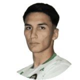 Javier Vallejos