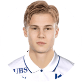 Theo Bergvall