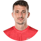 Danilo Mitrović