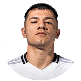 Matias Fernandez