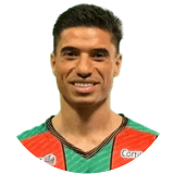 Nicolas Mezquida