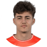 Jovan Mituljikic