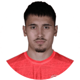 Nikola Milicic