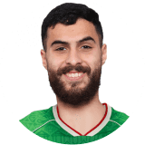 وجدي نبهان