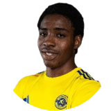 Victor Promise