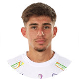 Adriano Manole