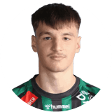 Nermin Mesic