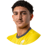 وسام الشوالي