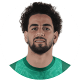 محمد الشامى