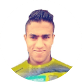 Alaa El Badry