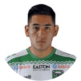 Diego Cayupíl