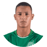 Luan Silva