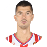 Luka Mitrovic