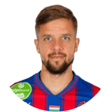 Barna Kesztyűs