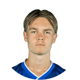 Willads Delvin