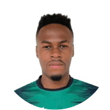 Vinícius Balotelli