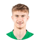 Wiktor Kaminski