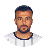 Mehmet Feyzi Yildirim