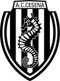 تشيزينا تحت 19