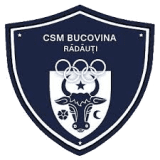 Bucovina Radauti